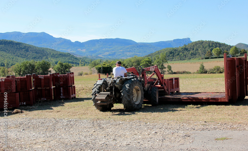 Obraz premium tracteur de vendanges