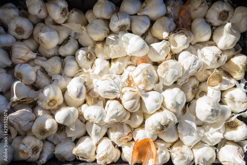 garlic at outdoor market