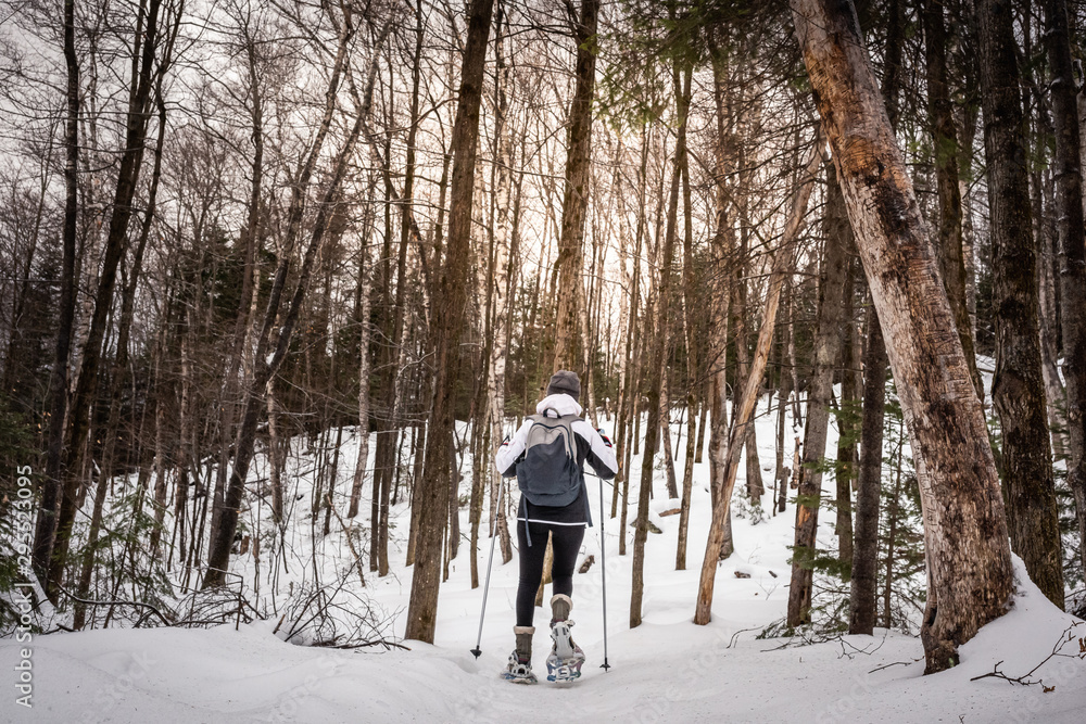 Rear-view of a young woman snowshoeing in the forest Rear-view of a young woman snowshoeing in the forest