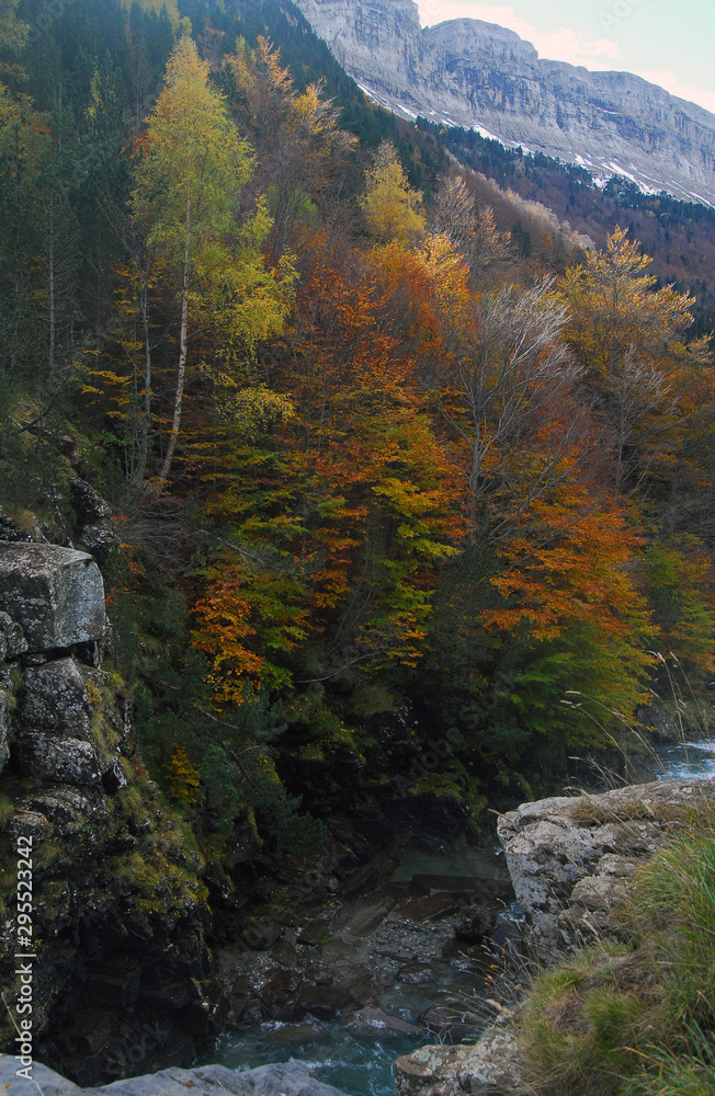 Ordesa en otoño Ordesa en otoño