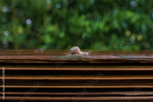 Un día de session con mi amigo el caracol 🐌 