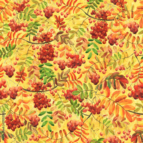 Seamless pattern with rowan red berries hand-drawn with watercolor