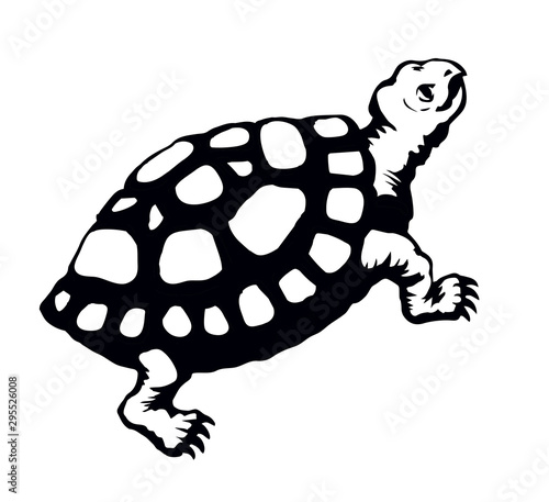 The little turtle is crawling. Vector drawing