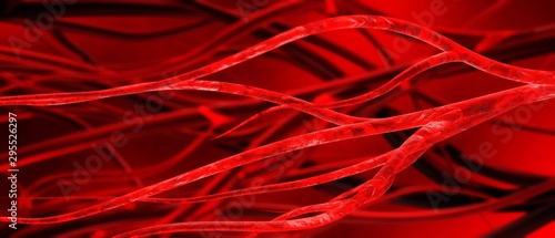Obraz na plátně blood vessels, veins and arteries, circulatory system