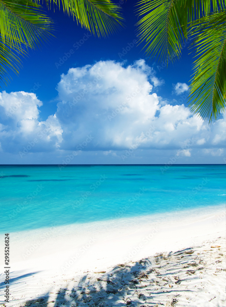  beach and tropical sea. tropical island