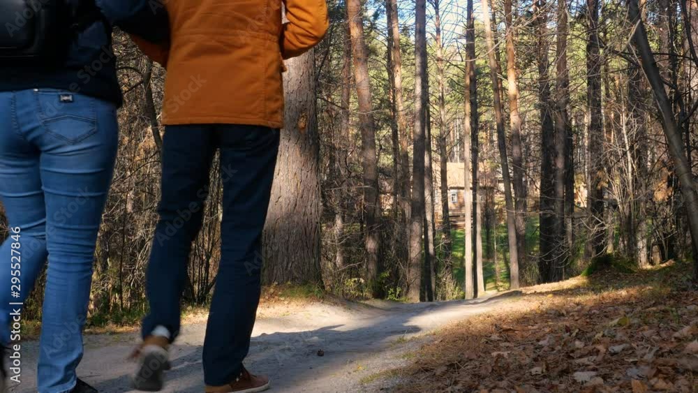 A couple walking in the autumn forest. A couple walking in the autumn forest.
