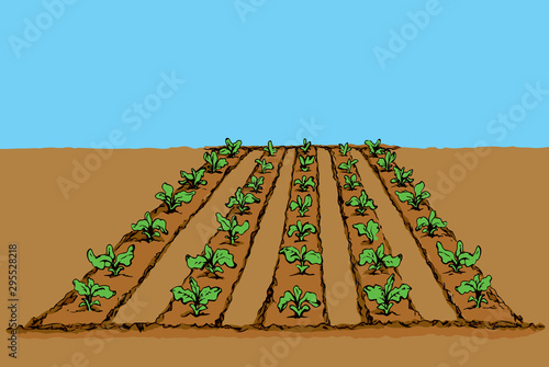 Garden beds. Vector drawing