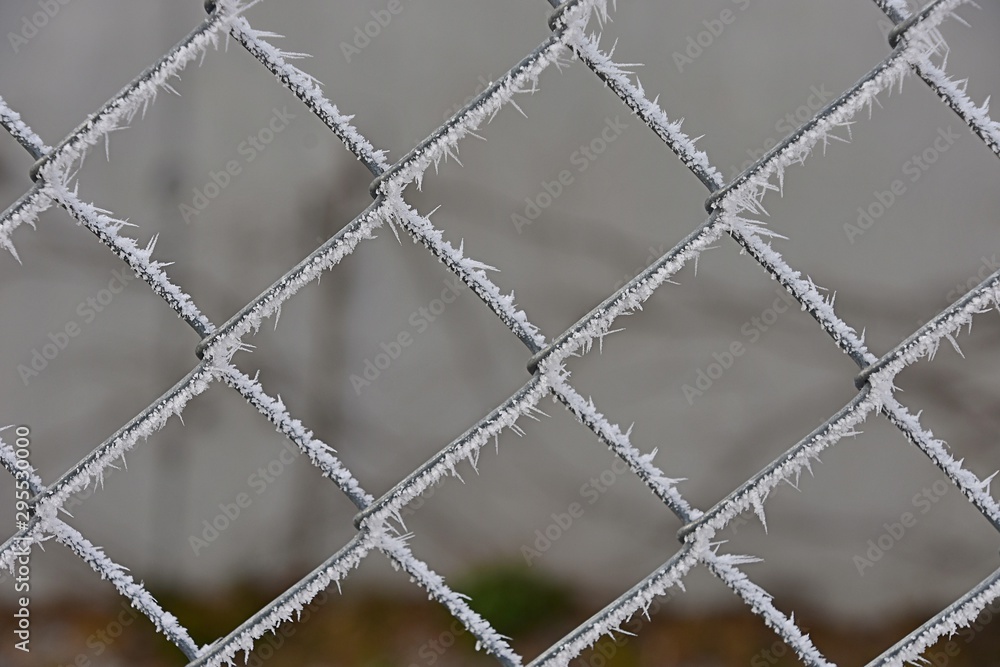 Fototapeta premium chain link fence with hoar frost 