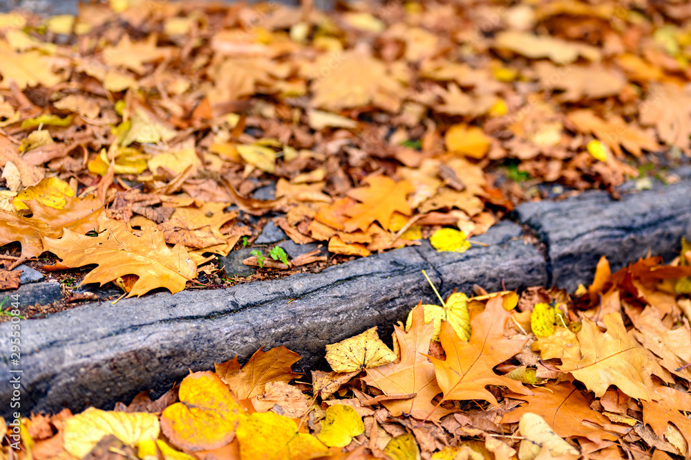 On the ground lying golden autumn leaves on the roadside. On the ground lying golden autumn leaves on the roadside.