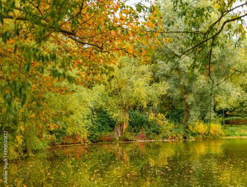 Rural scene with a pond and autumnal colorful trees on the shore.