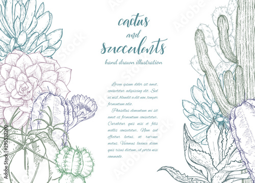 Floral background. Hand drawn vector botanical illustration. Template greeting card, wedding invitation banner with spring flowers. Sketch linear cactus ans succulents . Engraved style illustration.