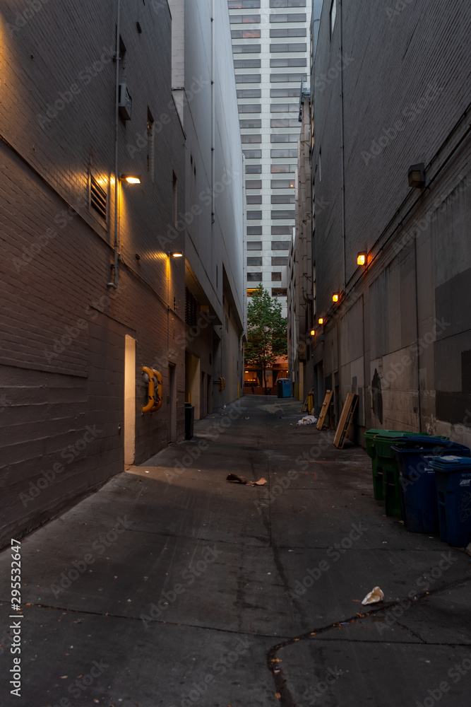 Alley Between Tall Buildings in Seattle
