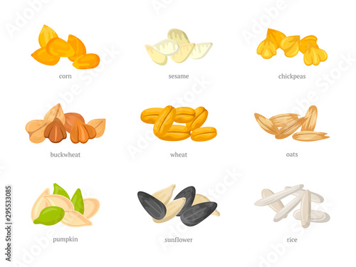Cereal grains flat vector illustrations set