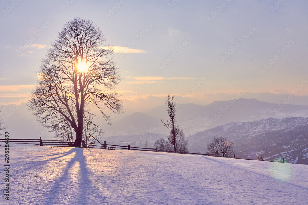 winter landscape sunrise in the snowy mountains and a tree on a slope - obrazy, fototapety, plakaty 