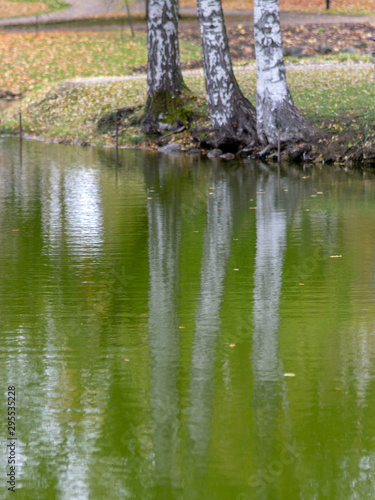 abstract picture with faded tree glare in water