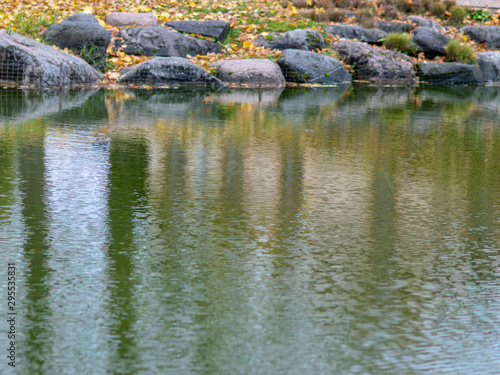 abstract picture with faded tree glare in water