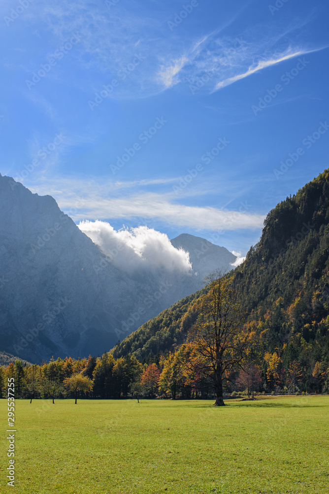 Beautiful autumn landscape from Logar Valley (Logarska dolina) in Slovenia; vertical photo, travel photography