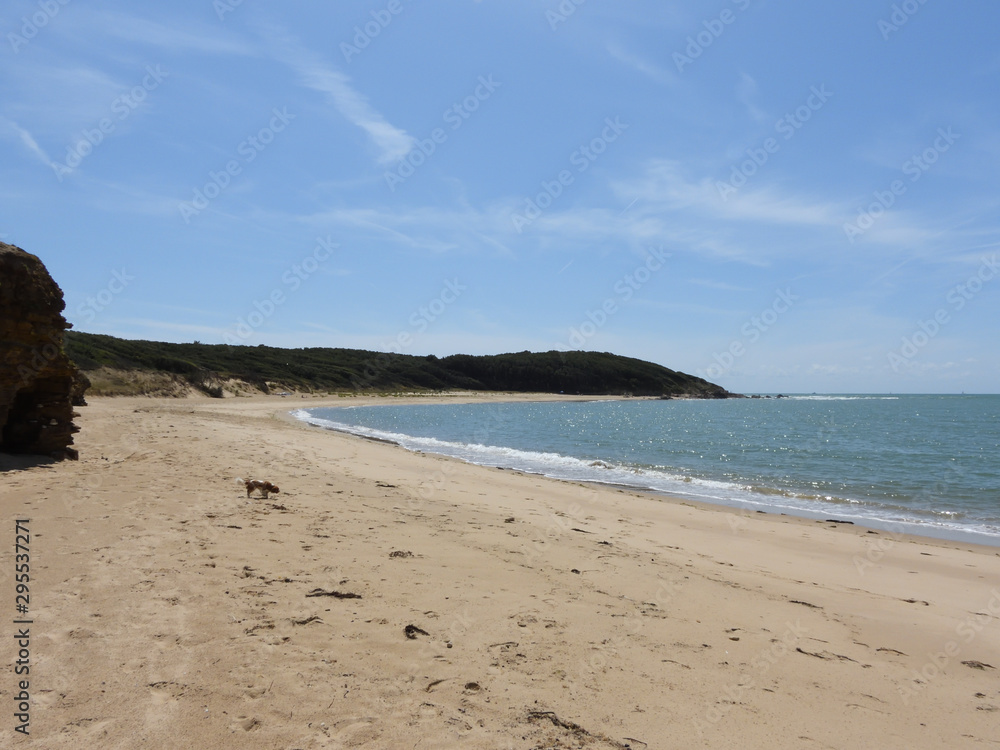 Obraz premium plage sauvage vendée