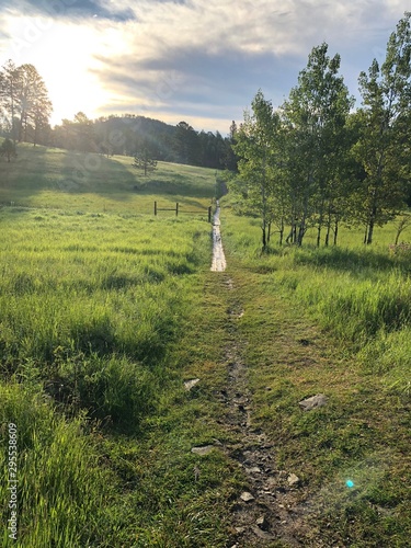 The road less traveled Inspiration