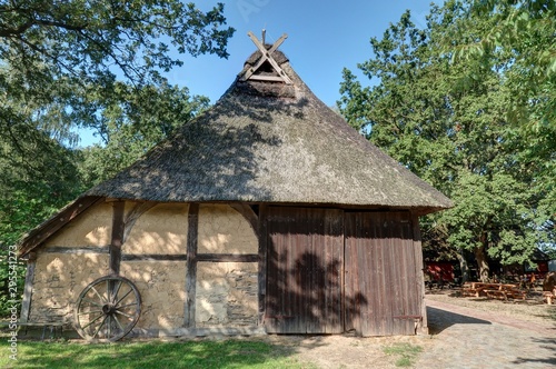 bruyères dans le lande de Lunebourg