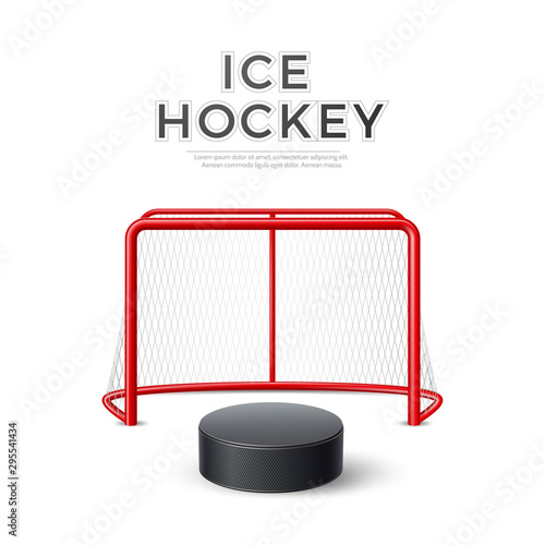 Vector ice hockey goal with net 3d puck
