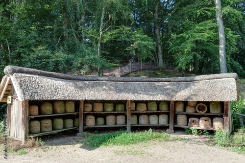 bruy  res dans le lande de Lunebourg