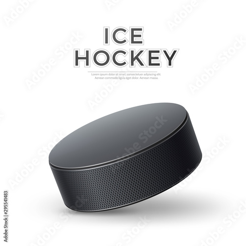 Vector realistic ice hockey 3d puck for betting