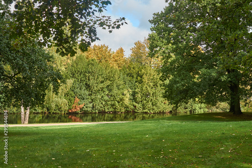 lawn with green grass by the river on a sunny day with autumn forest in the background