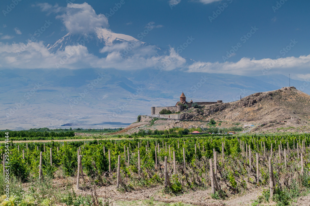 Khor Virap monastery surrounded by vineyards, Armenia. Ararat mountain in the background.