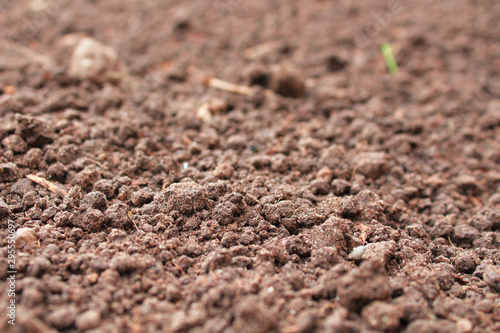 Soil in the garden. Close-up. Background. Texture.