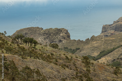 Parque Natural Majona. Northeastern part of La Gomera Island. Old volcanic mountains covered by green grass, thickets of relic laurels and heather on steep slopes. Canary Islands, Spain