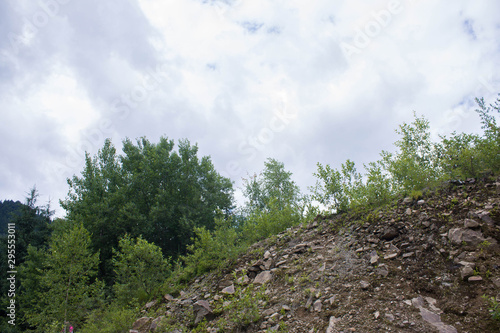 Carpathian landscapes. Forests and mountains of the Carpathians. photo