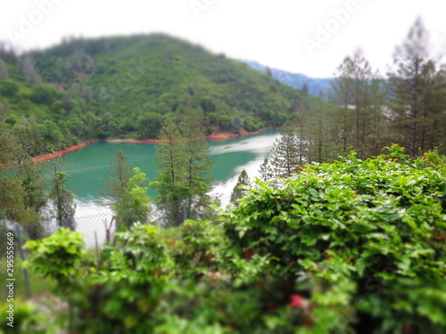 landscape with river and trees