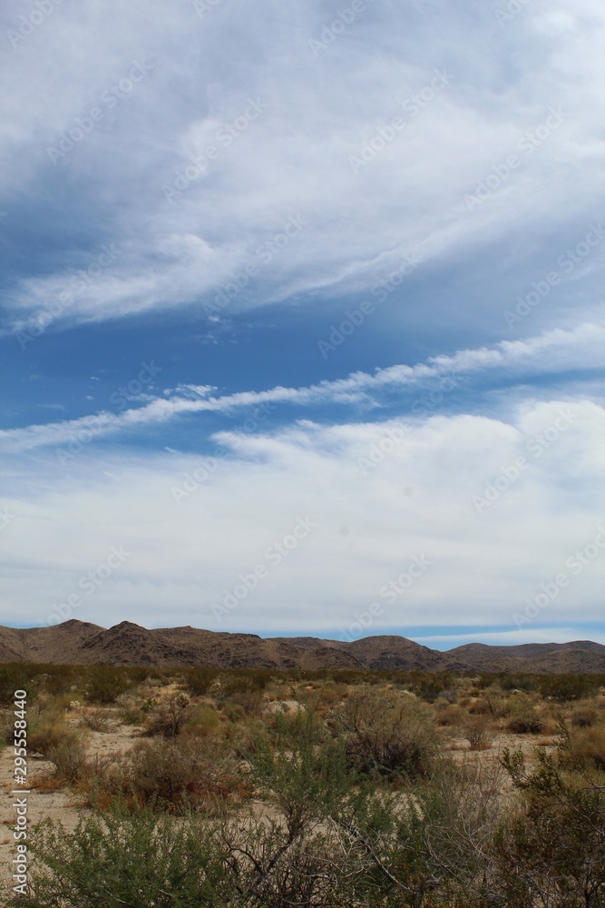 Housing diverse ecology of the Southern Mojave Desert, the 29 Palms Mountain range can be observed in Joshua Tree National Park, east of the North Entrance. Long may they remain protected. Housing diverse ecology of the Southern Mojave Desert, the 29 Palms Mountain range can be observed in Joshua Tree National Park, east of the North Entrance. Long may they remain protected.