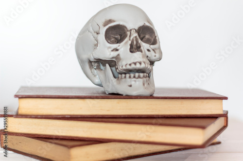 Skull on top of books