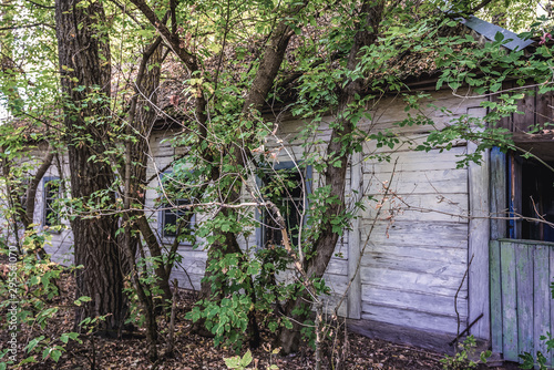 Old wooden house in Kranse  small village located in abandoned Chernobyl Zone  Ukraine