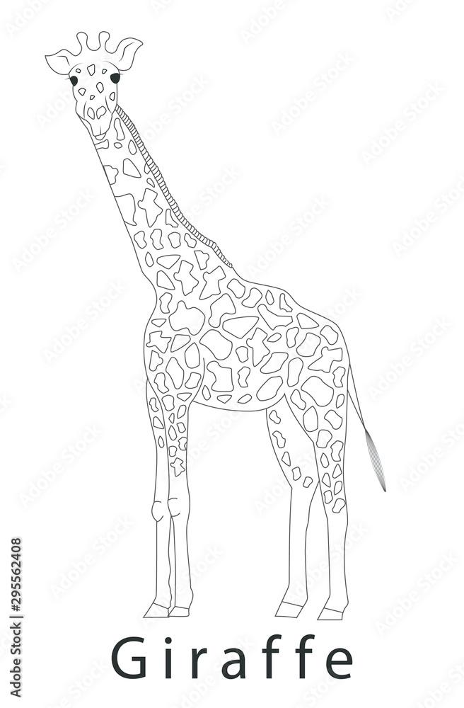 Obraz premium Giraffe logo template icon design