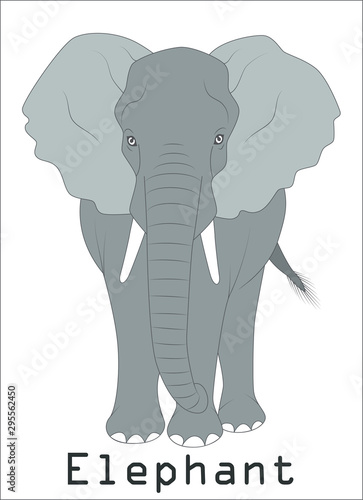 elephant silhouette graphics disign Illustration