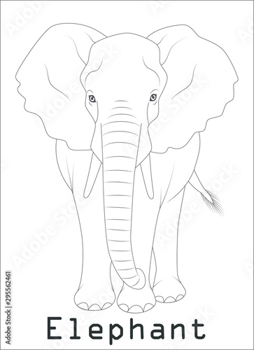 elephant silhouette graphics disign Illustration