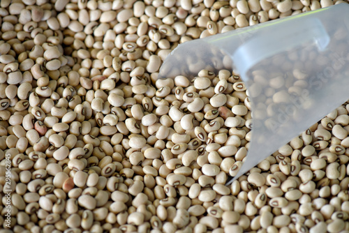 Black eye pea, or Feijao Fradinho in Portuguese, in bulk photo