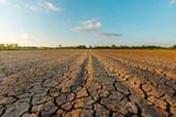 The land is dry and parched because of global warming.