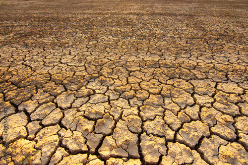 The land is dry and parched because of global warming.