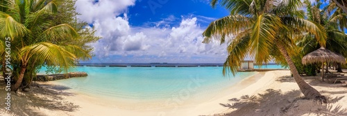 Plażowa panorama przy Maldives z niebieskim niebem, palmami i turkusową wodą