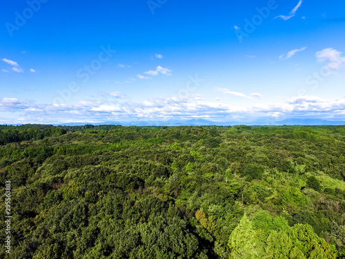 skyscape from drone, blue sky with green forest, view of natural after typhoon number 19 in japan