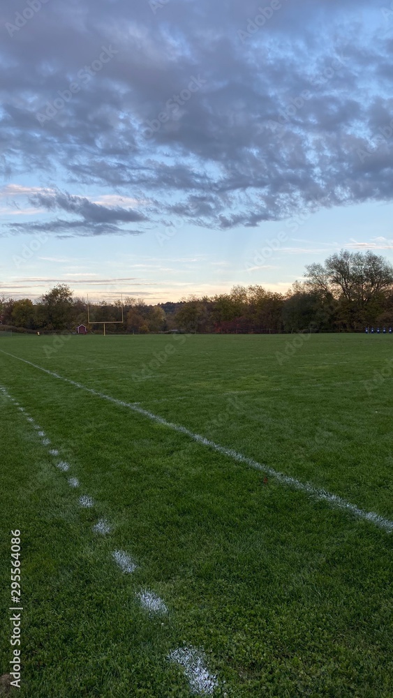 Obraz premium green field and blue sky