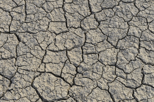 pora sucha z bardzo suchym terenem i niewielką ilością zepsutej gleby praktycznie bez roślinności