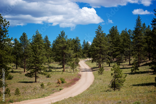 Dirt road in Colorado mountains against blue sky