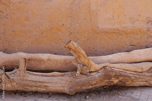 Ancient traditional residential old house wall and dried tree trunk in Tuyoq Village Valley Turpan Xinjiang Province China.