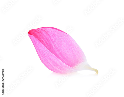 lotus flower lobe isolated on white background