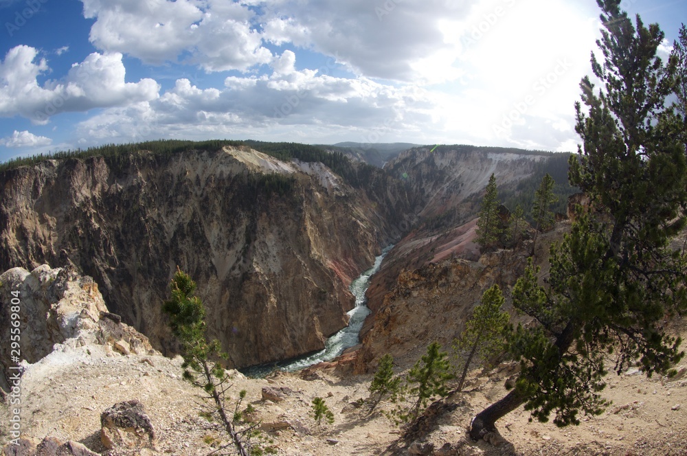 Obraz premium yellowstone